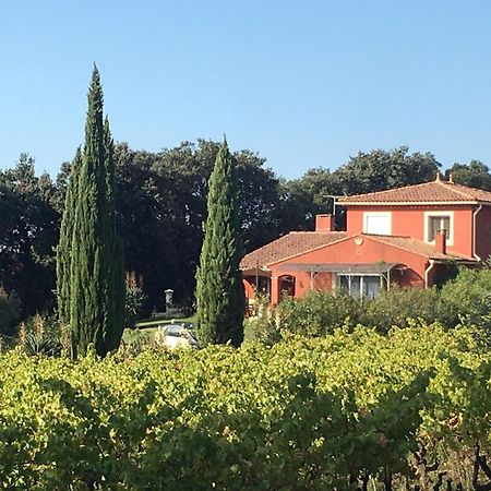 Domaine Des Lavarines Morieres-les-Avignon Exterior foto